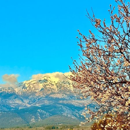 Villa Vasiliki Paliouras Exteriér fotografie