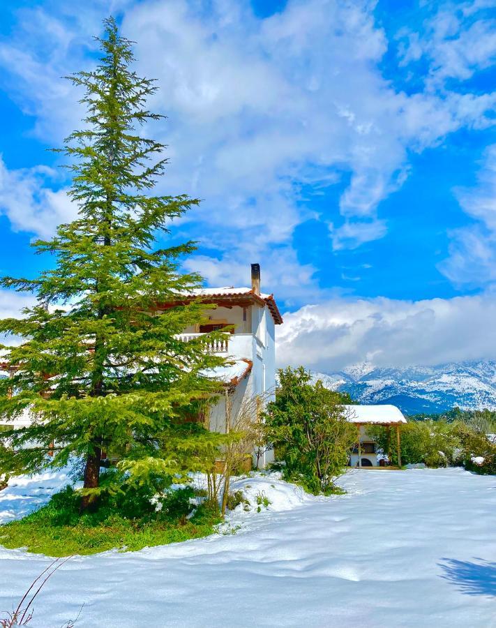 Villa Vasiliki Paliouras Exteriér fotografie