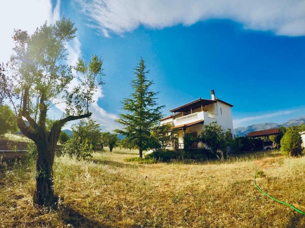 Villa Vasiliki Paliouras Exteriér fotografie