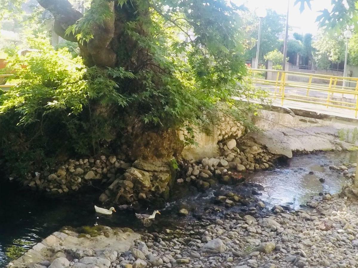 Villa Vasiliki Paliouras Exteriér fotografie