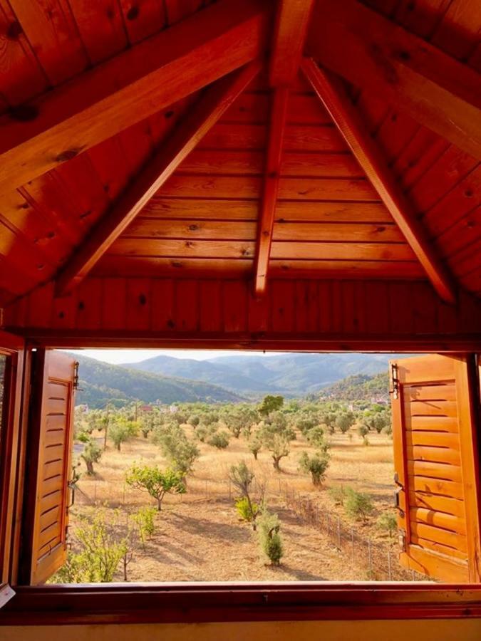 Villa Vasiliki Paliouras Exteriér fotografie