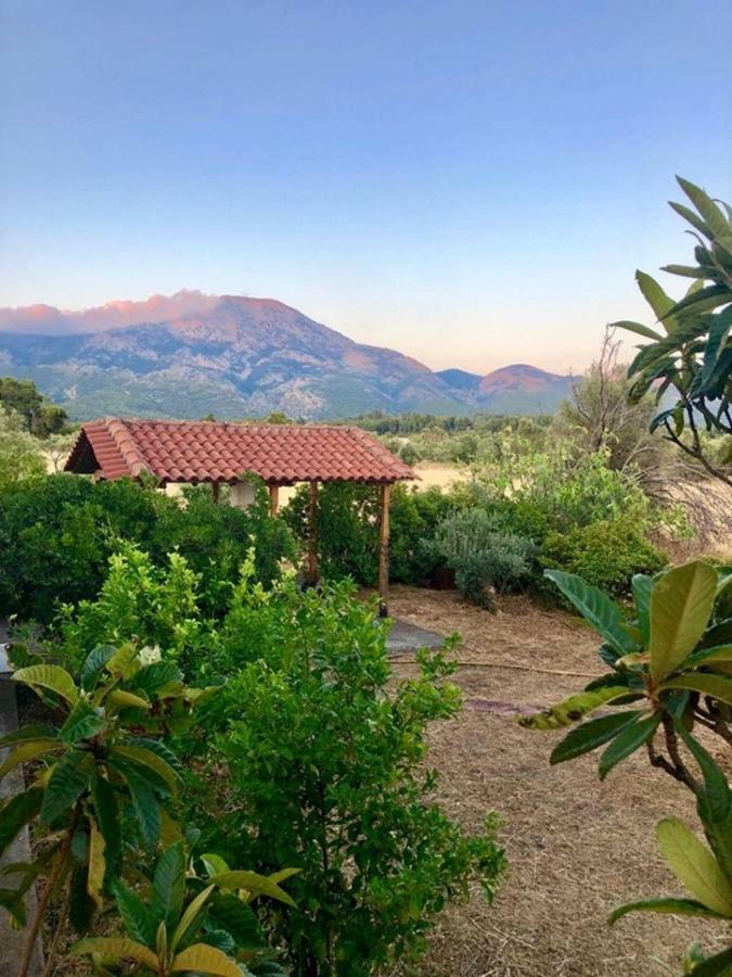 Villa Vasiliki Paliouras Exteriér fotografie