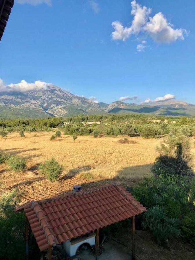 Villa Vasiliki Paliouras Exteriér fotografie